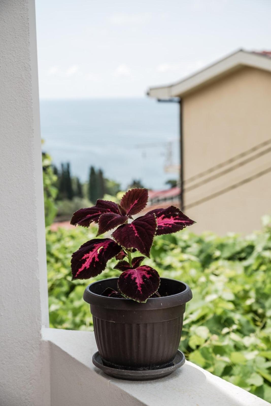 Adriatic Sea View Rooms Ulcinj Exterior foto